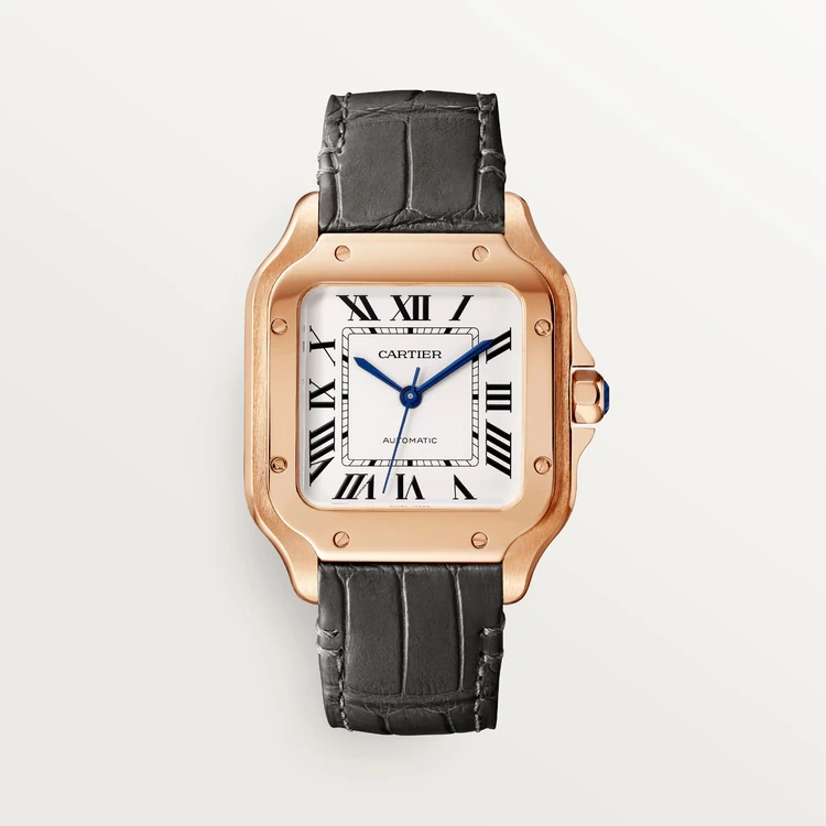 a36c0c870b9fee44e1e6a0733cb288c5 SANTOS DE CARTIER WATCH -WGSA0028