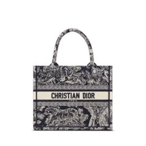 Small Dior Book Tote